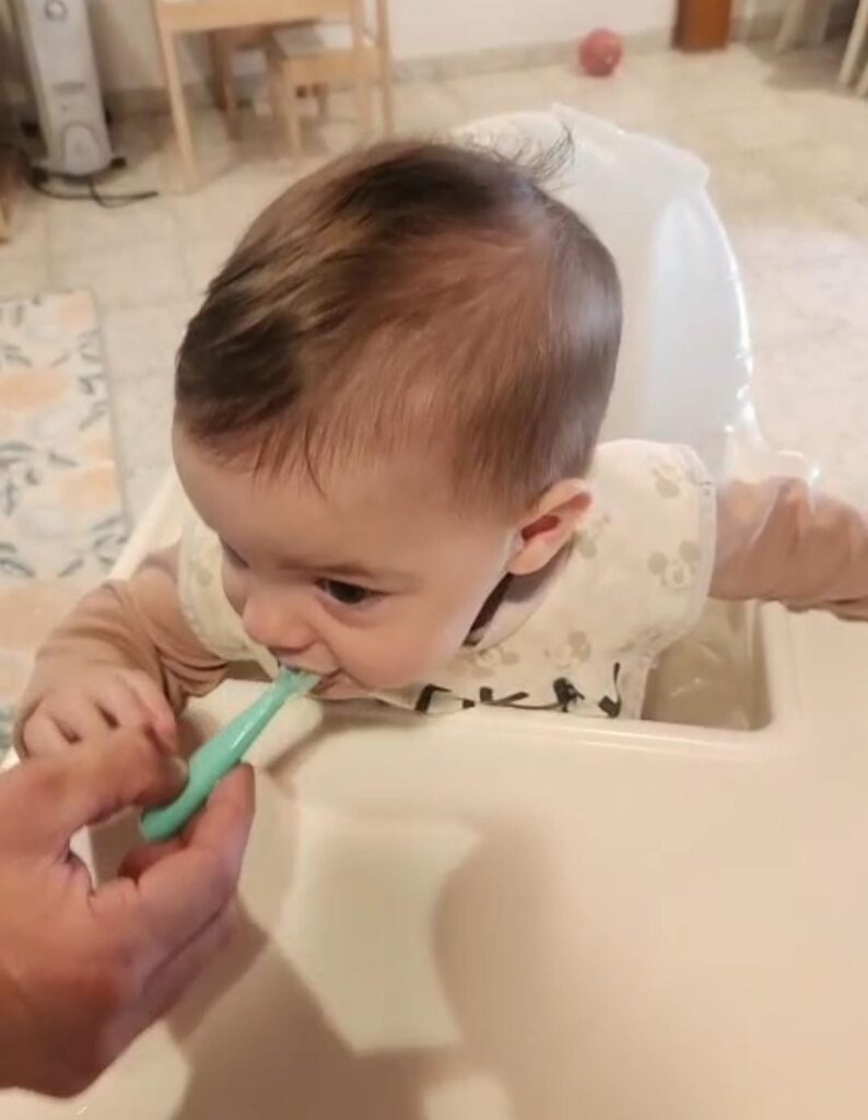 ארגון בטרם המתכוניה