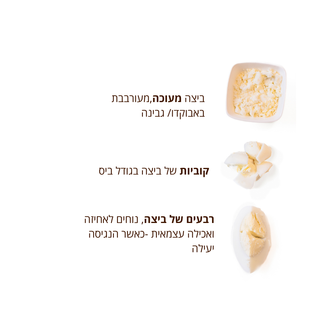 ביצה | ביצה קשה - המתכוניה