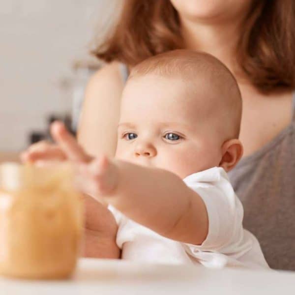 Indoor shot of faceless mother feeding her little infant daughter with vegetable puree, charming toddler baby stretching hand to jar with food, feeding up.