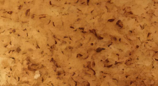 pasta_and_meat_quiche