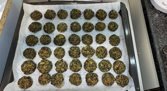 vegan_spinash_tofu_patties