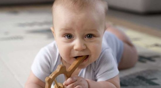 טעימות-לתינוק-ומעבר-למוצקים - -הרצאה-לצפייה-ישירה